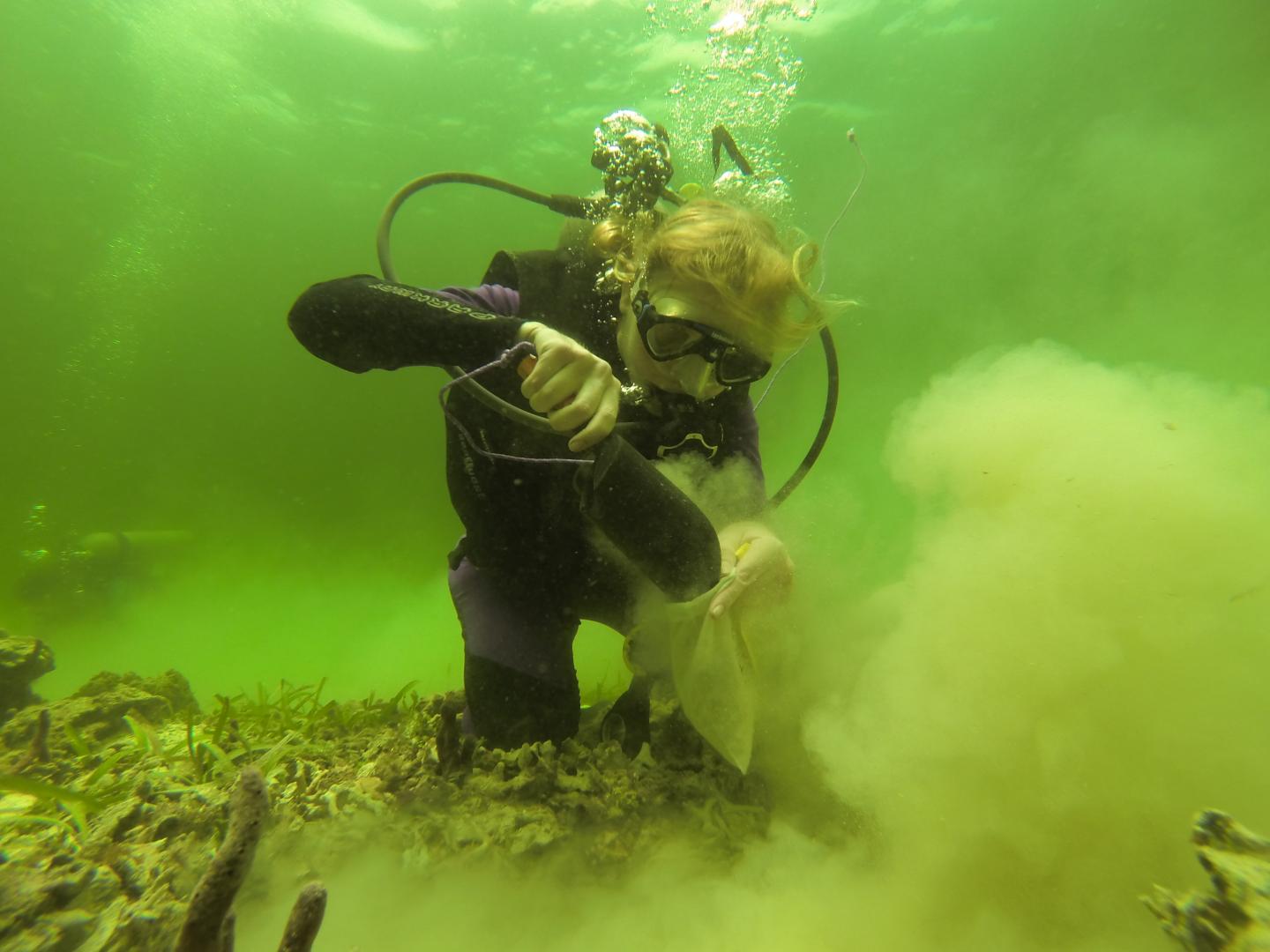 Researcher collecting bulk surface sediment samples