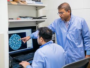 Researchers study the architecture of the Turnip Crinkle Virus