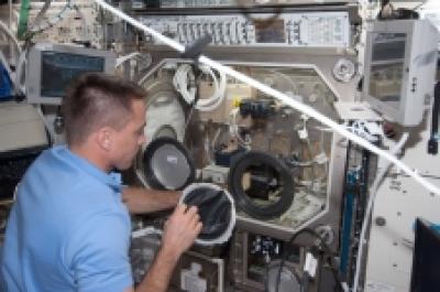 Chris Cassidy, NASA