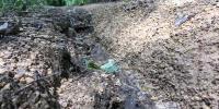 Path Erosion