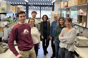 Researchers discover how an anti-obesity drug improves metabolism beyond weight loss