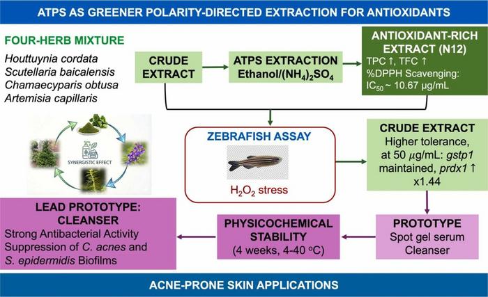 Graphical Abstract