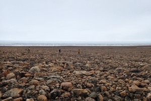 Fieldwork