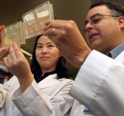 Ling Xia and Hernan Flores-Rozas, Medical College of Georgia 1 (of 2)