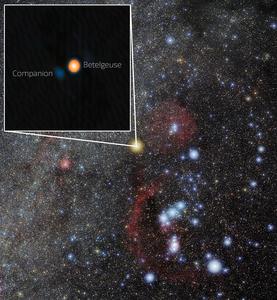 Betelgeuse and Its Stellar Companion in Orion