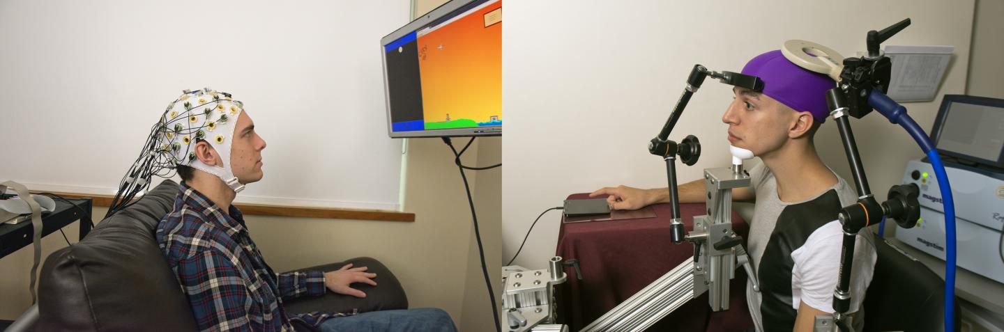 Brain Interface Demonstration