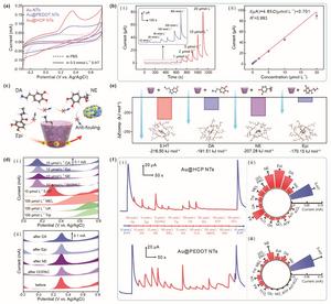 Electrochemical performance evaluation of Au@HCP NTs.