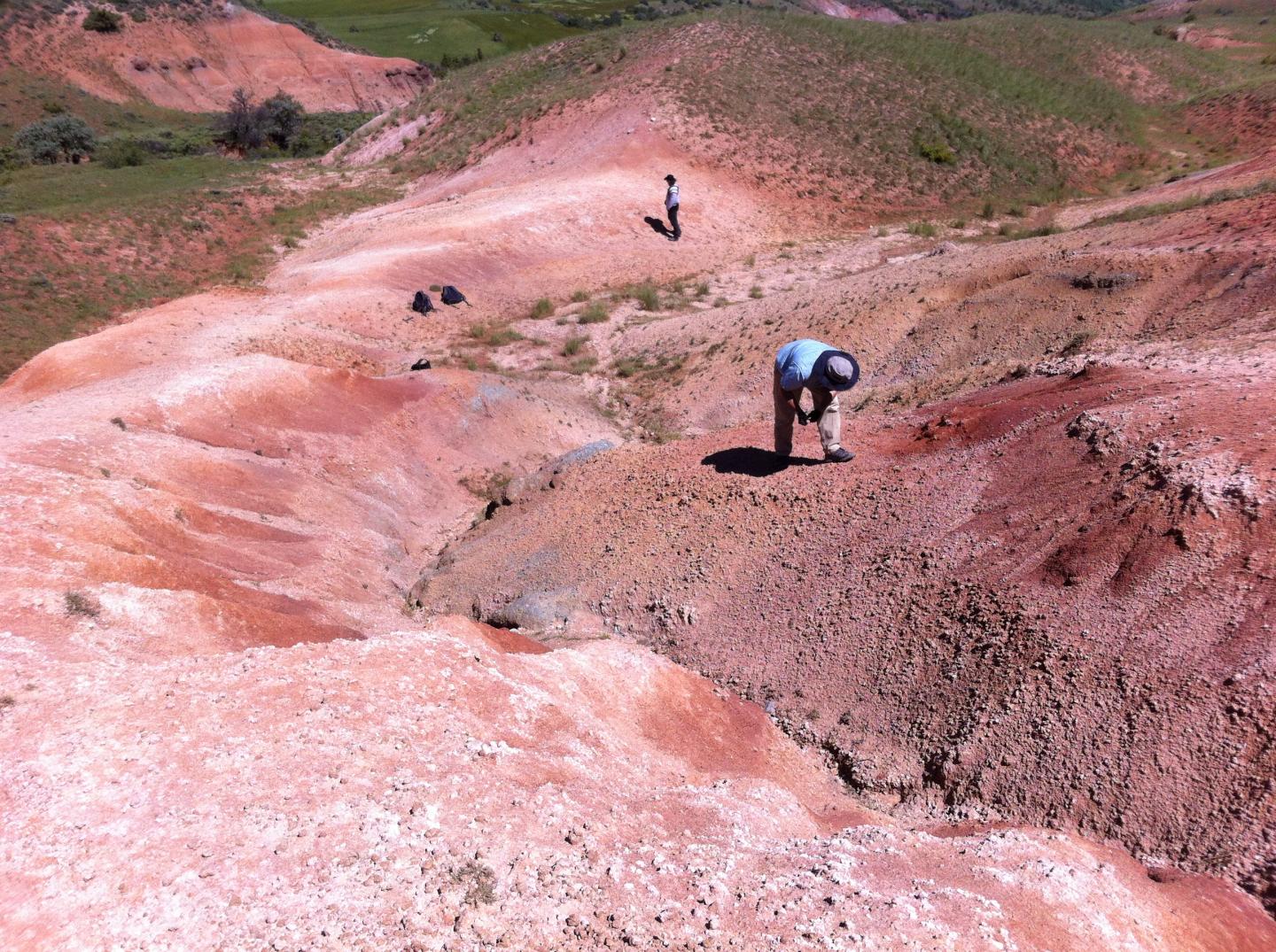 Fieldwork in Turkey