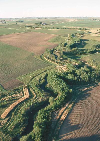 Conservation Buffer