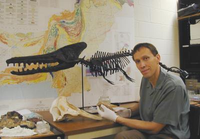 Unraveling Whale Evolution