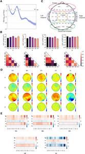 Brain response to citrus EOs and IA.
