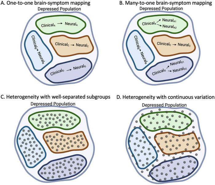 Findings from a novel study in Biological Psychiatry highlight the layered and complex underpinnings of depression, revealing that multiple brain profiles may manifest as the same clinical symptoms