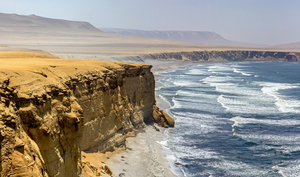Coastal landscape
