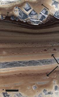 Nahcolite