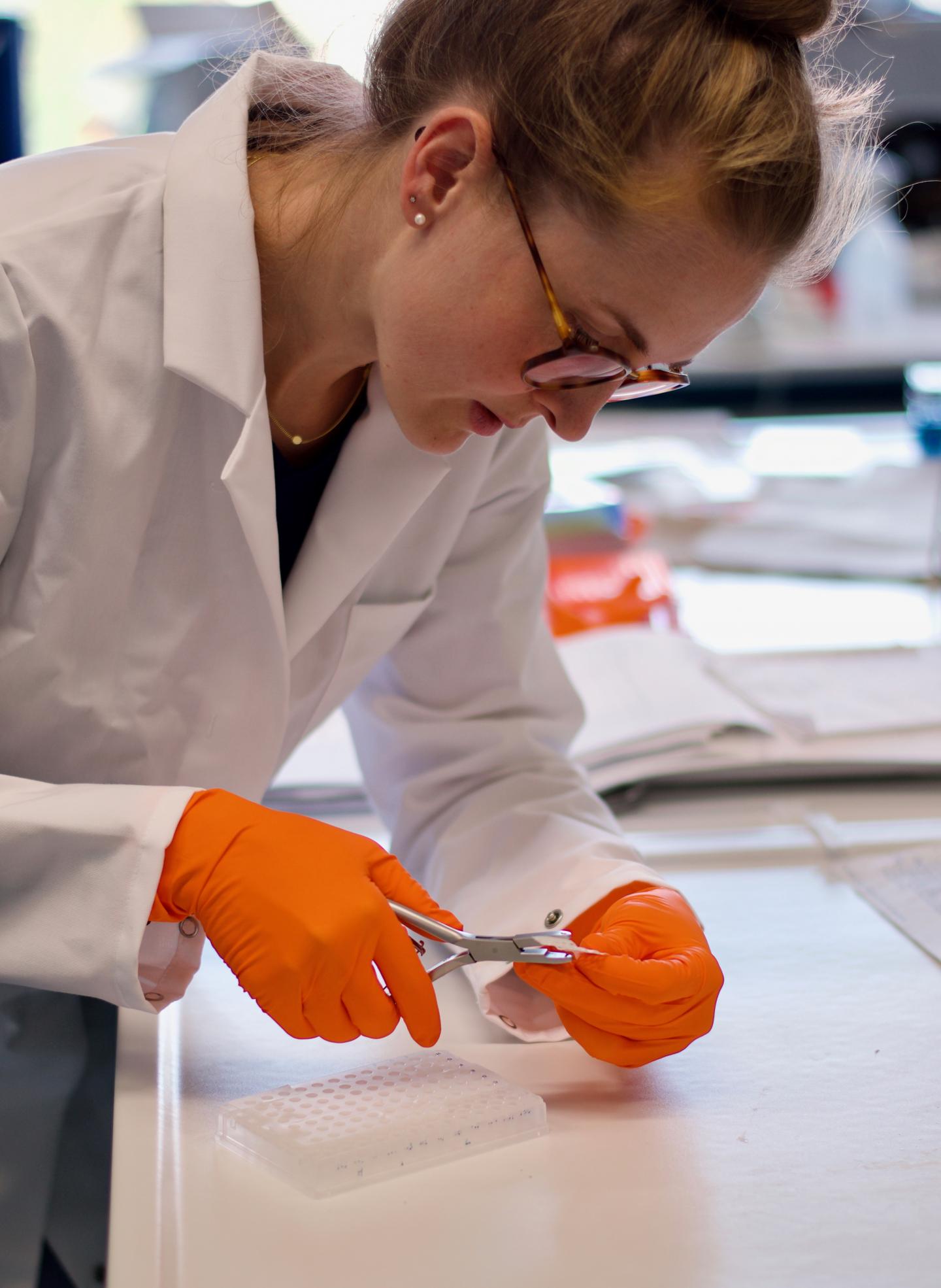 Extracting Spotted Peptides