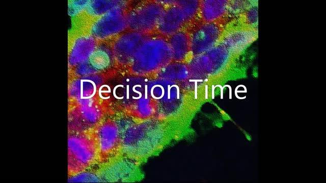 Decision Time