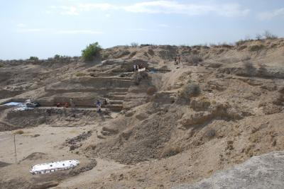 1.5 Million-Year Footprints Show Modern Stride (9 of 9)