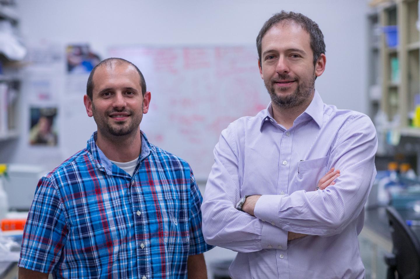 Researchers