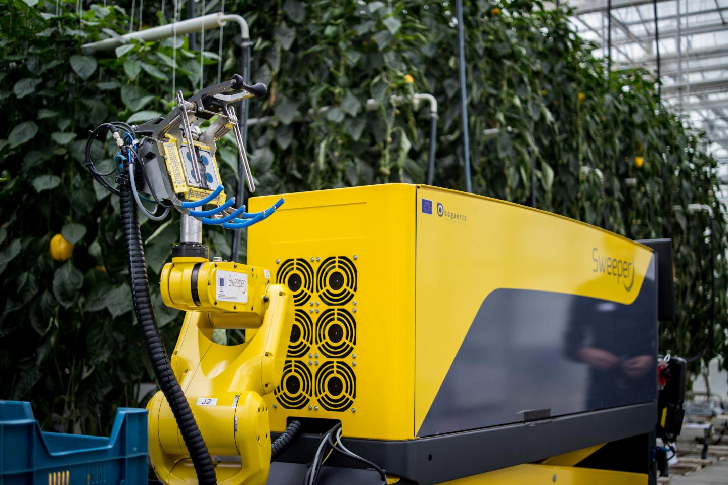 SWEEPER Robot Picks Peppers