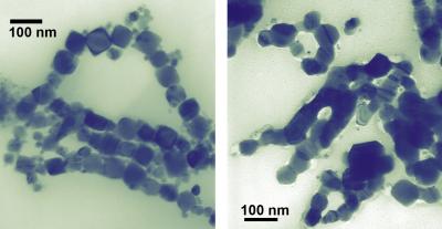 Shape Matters in the Case of Cobalt Nanoparticles