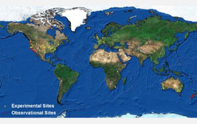 Cesium-137 Levels in the Surface Ocean: 1990