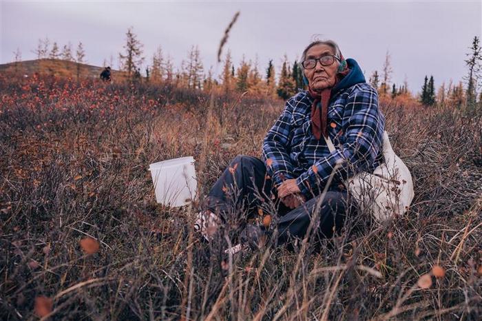 Arctic climate action award