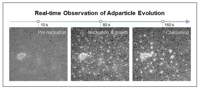 Figure 2: In-situ liquid-phase TEM observation of nanoparticle formation and growth on Cu–Ag thin films.