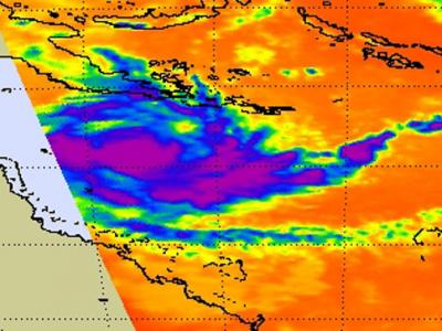 AIRS Image of Zane (1 of 2)