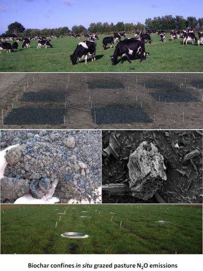 Biochar