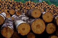 Logs