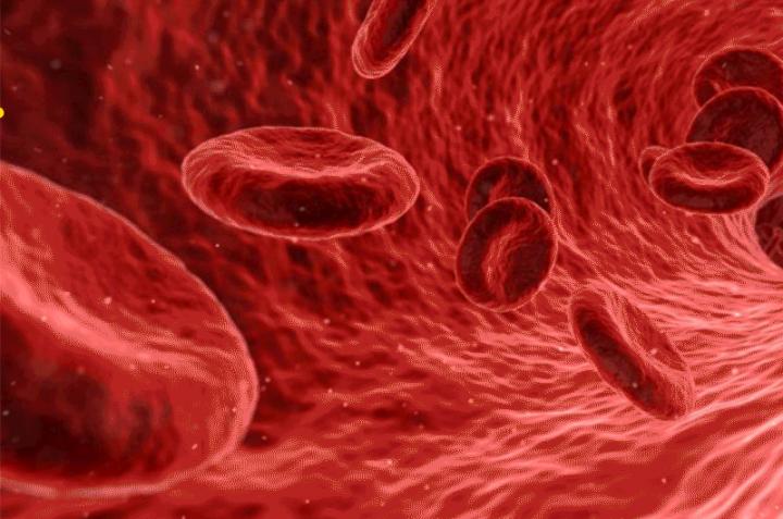 Brush and Mushroom Polymers Help Nanoparticles Through the Bloodstream