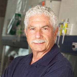 David Cheresh
