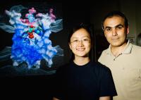 Tajkhorshid and Wang