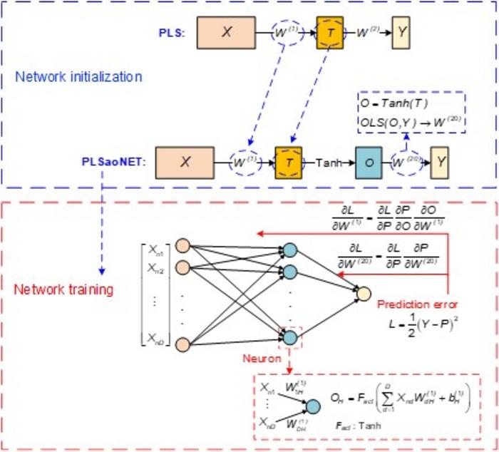 Schematic diagram of the PLSaoNET model