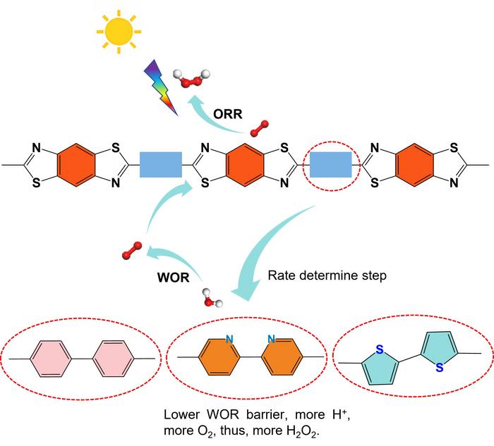 Molecularly engineered water oxidation sites in D-A conjugated polymers for efficient H2O2 photosynthesis in pure water