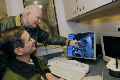 Gorilla MRI (1 of 3)