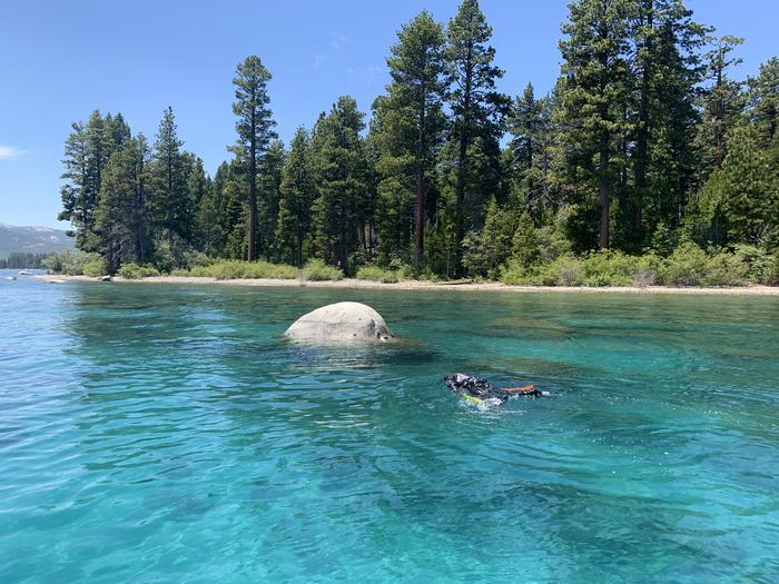 Scientist swims in Lake Tahoe