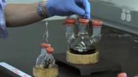 Lithium-Polysulfide Flow Battery Demonstration