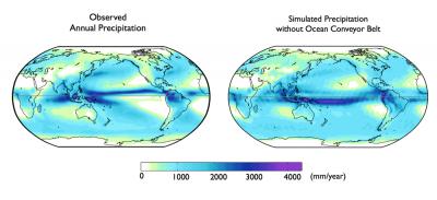 Global Precipitation