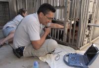Giant panda Ultrasound (1 of 2)
