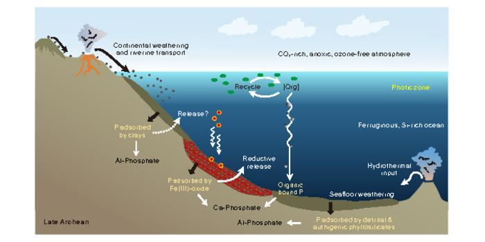schematic diagram