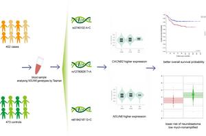 The Association of NSUN6 Gene Polymorphisms with Neuroblastoma Risk in Children from Jiangsu Province