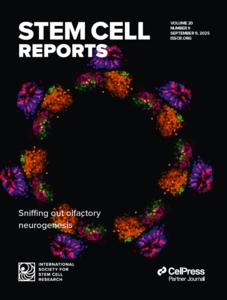 Stem Cell Reports Top 10 Downloads of 2025