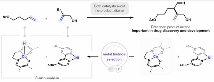 New technique for synthesizing branched molecules could accelerate the development of future medicines