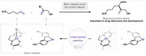 New technique for synthesizing branched molecules could accelerate the development of future medicines
