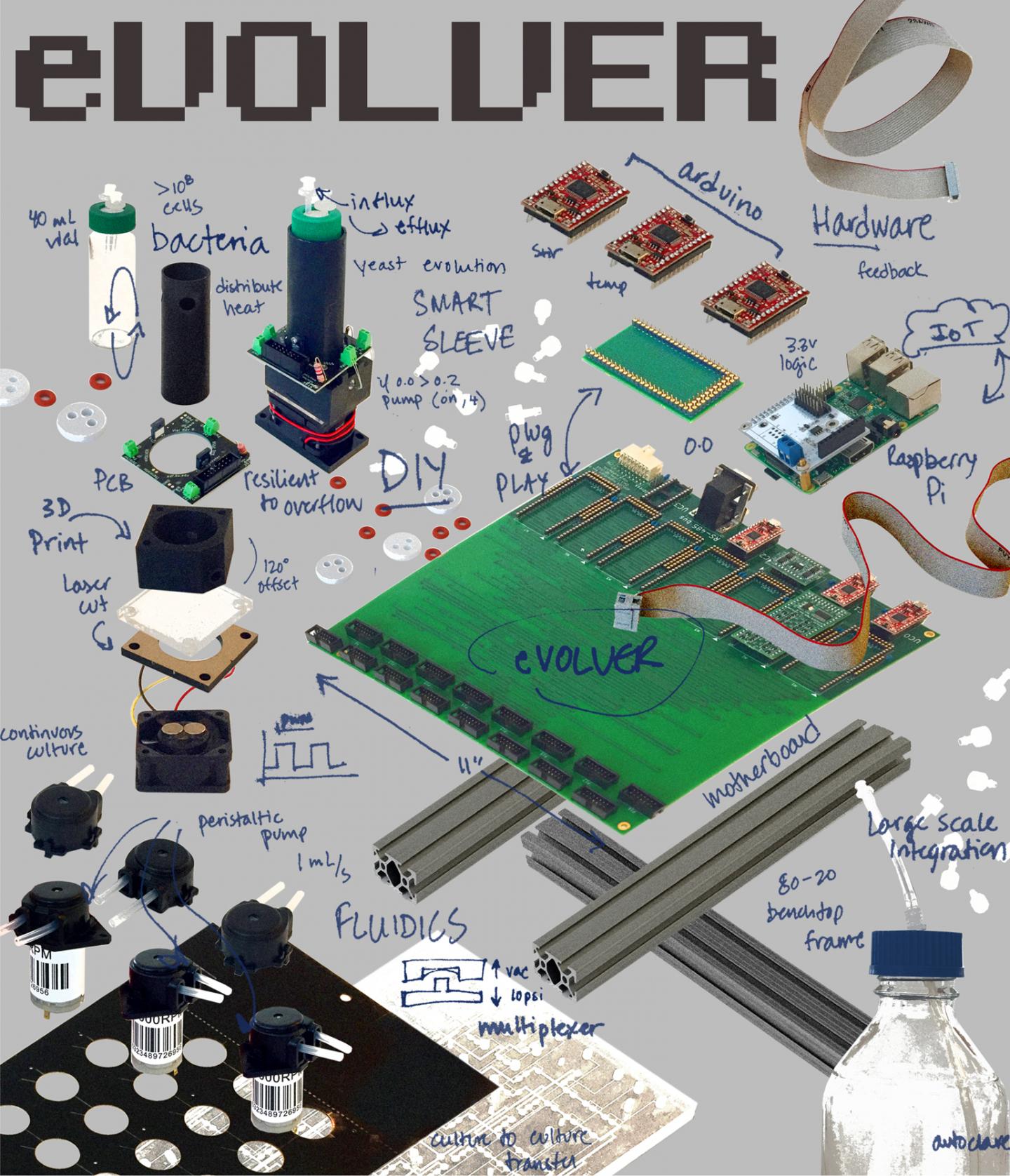eVOLVER Schematic