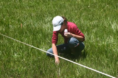 Researcher Samples Water on Public Lands