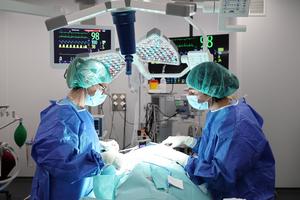 Researchers from the ICREC group during the preclinical phase in a porcine model