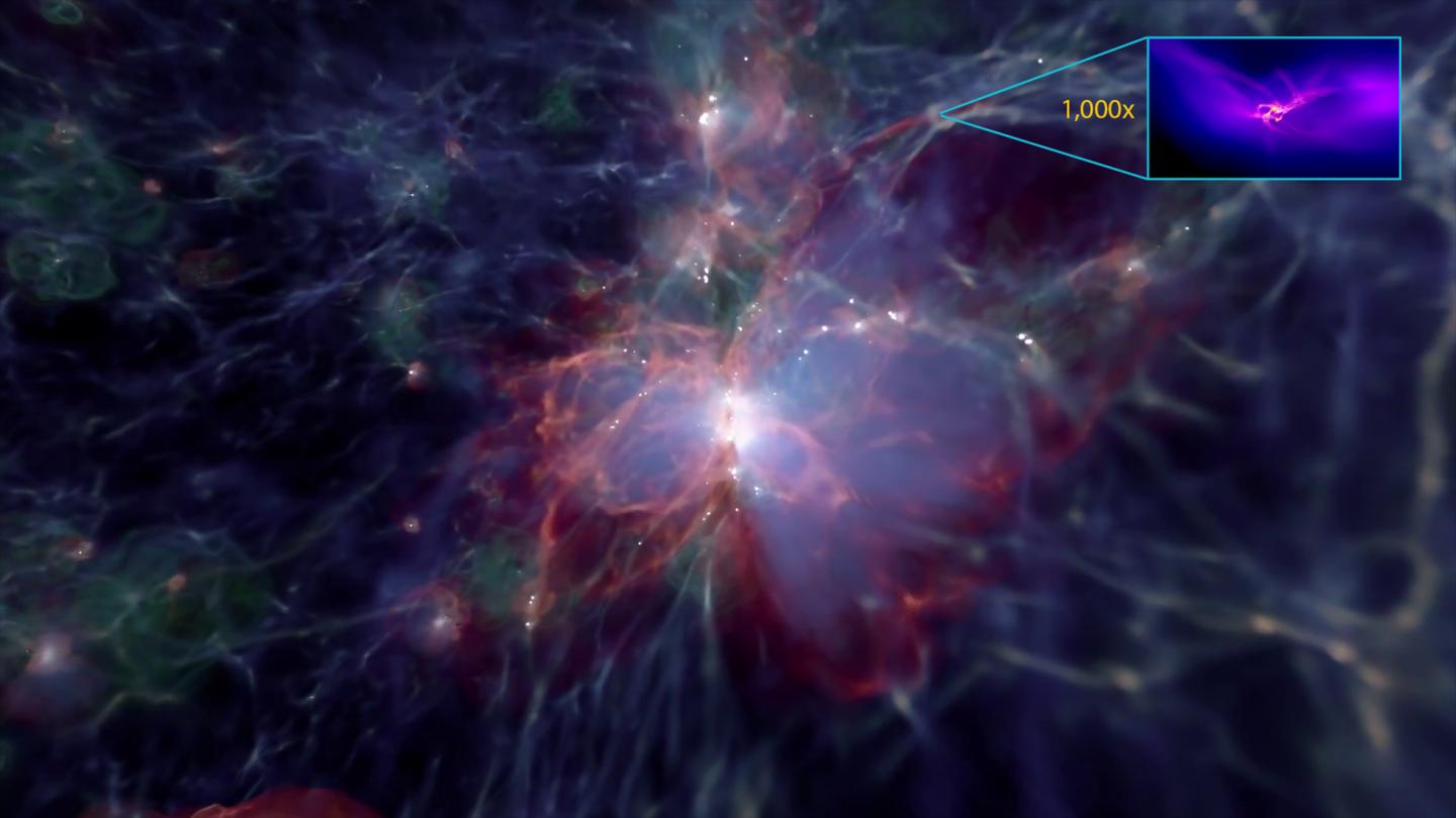 30,000 Light-Year Region of the Renaissance Simulation