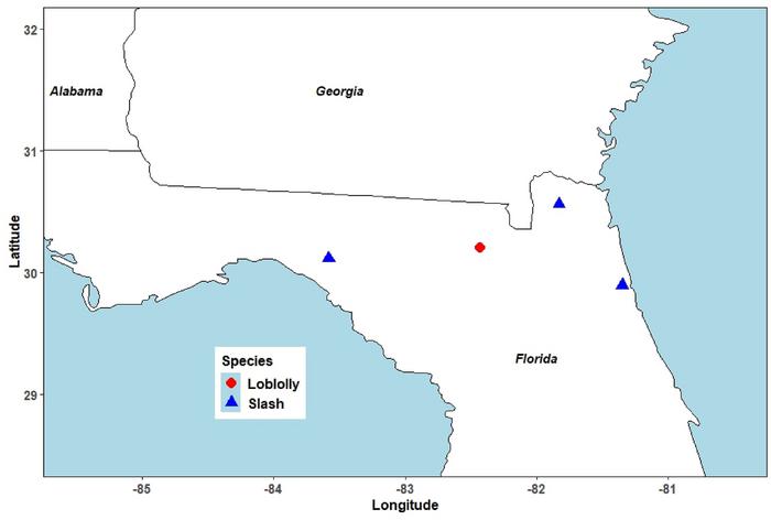 Locations of research installations in the post-bed vegetation control study